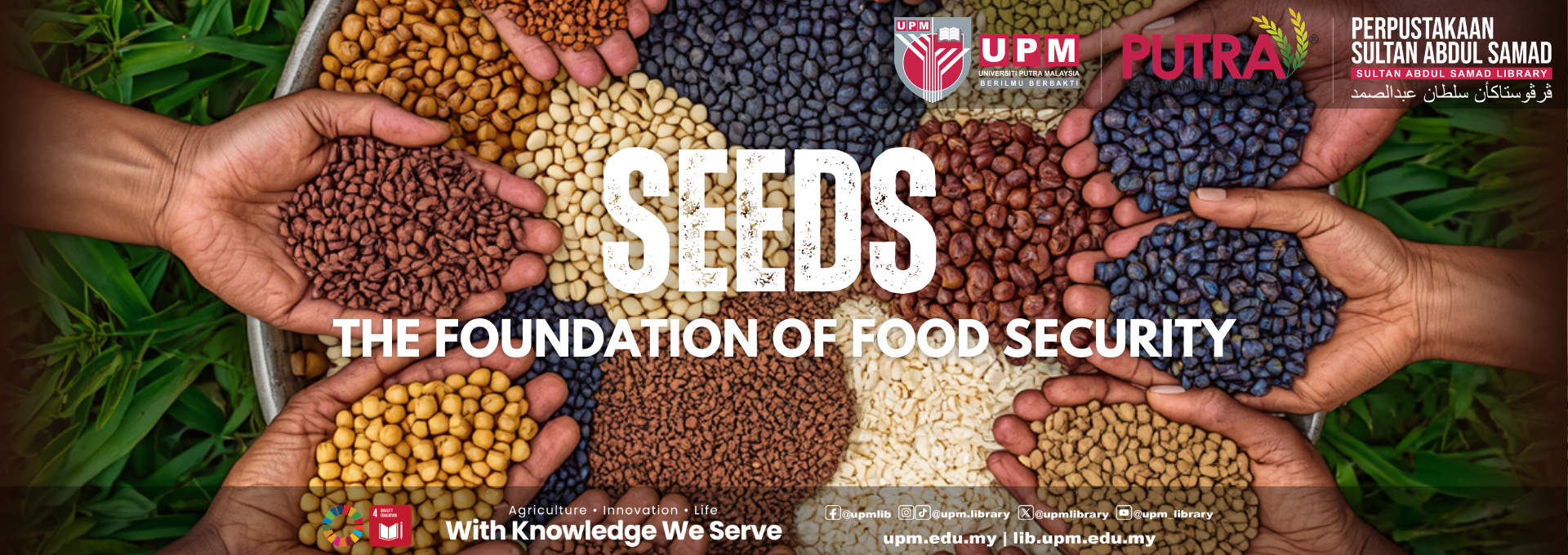 Seeds The Foundation of Food Security 